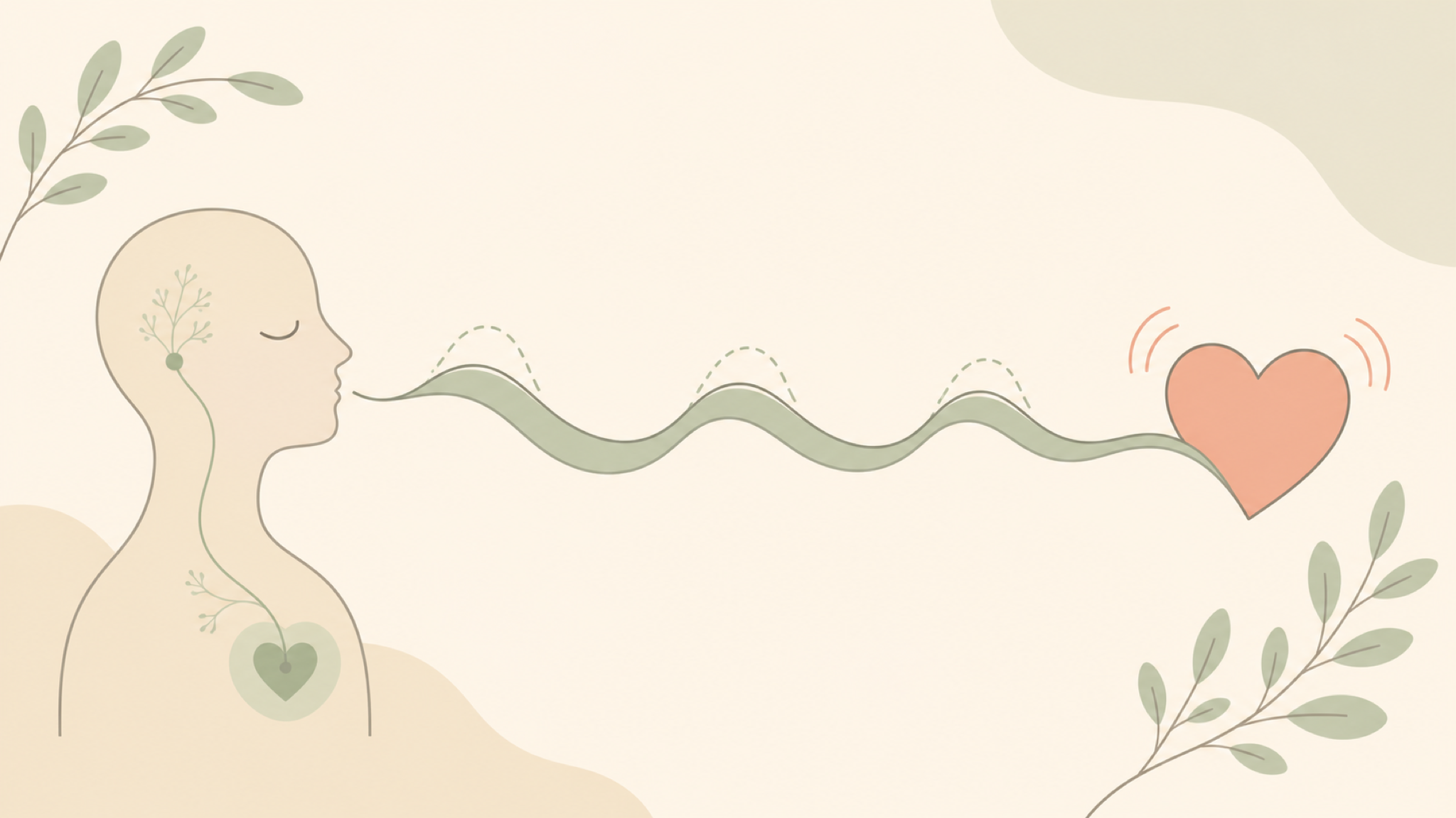 A soft illustration: a calm breath-ribbon flows from a person silhouette in slow waves with a longer exhale into an eased coral heart, with a gentle nerve pathway running down the neck