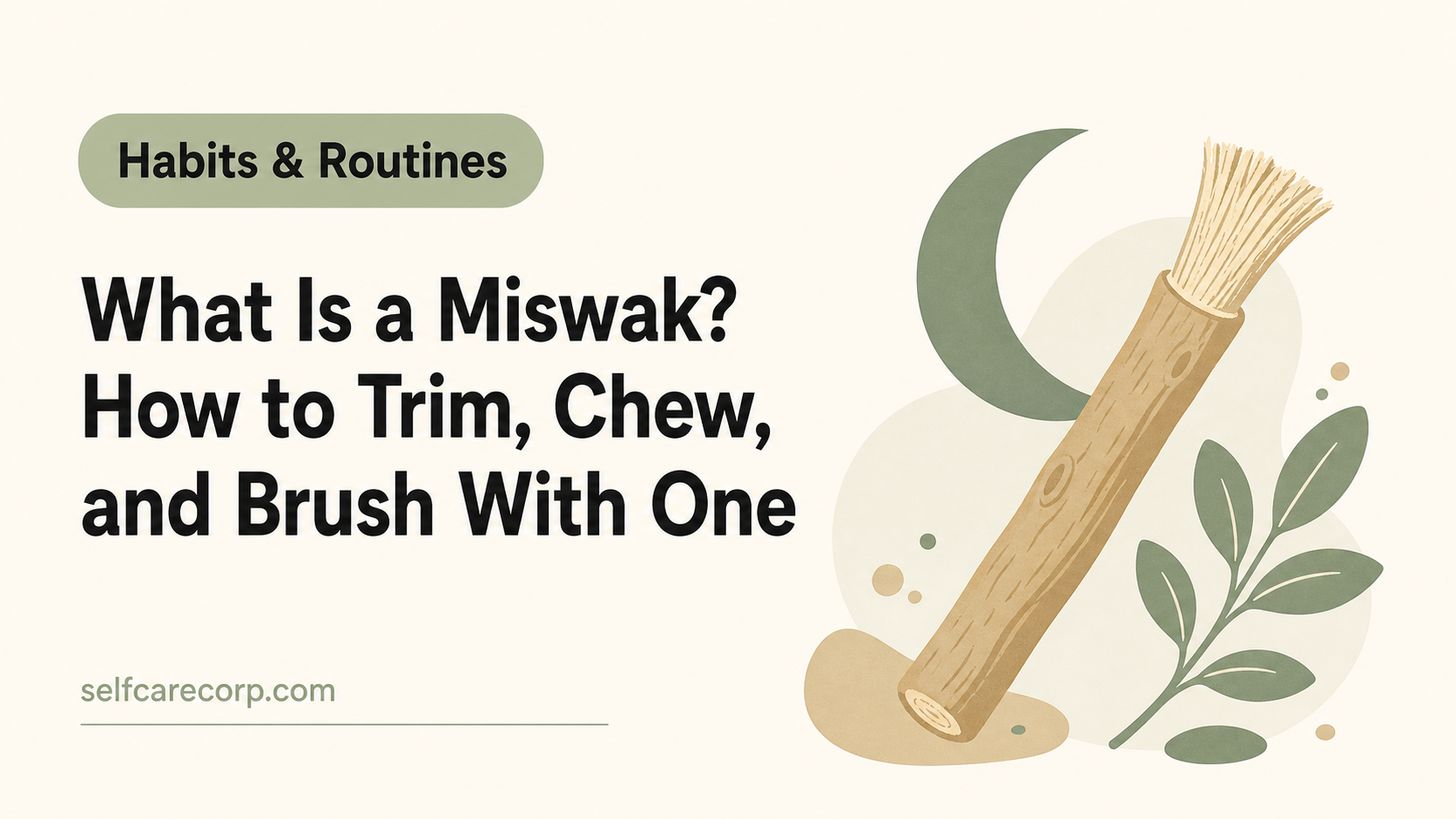 What Is a Miswak? How to Trim, Chew, and Brush With One